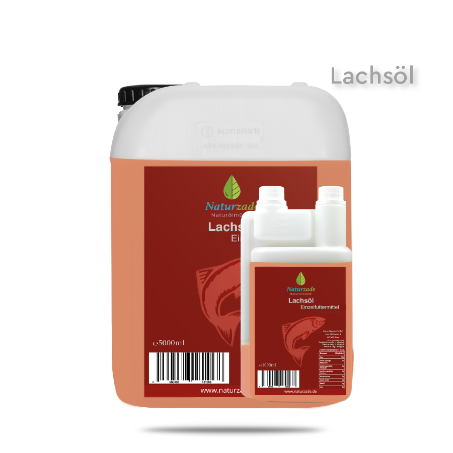 lachsoel fuer hunde